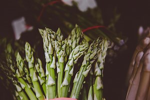 Mastering Asparagus Gardening Tips for Beginners to Enjoy a Bountiful Harvest Year After Year