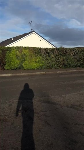 Nissan Sil80 with a Powerful V8 Engine