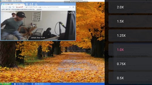 Windows XP有蓝屏死机(1.0丨0.5) 3