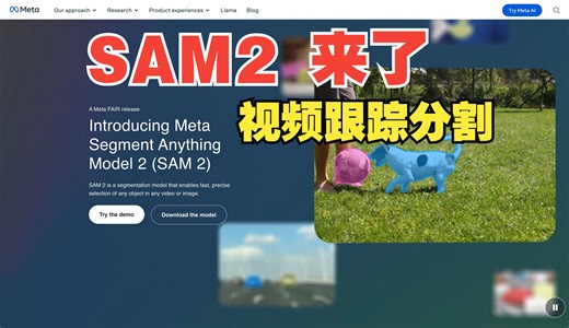 SAM2来了-可以视频物体分割了