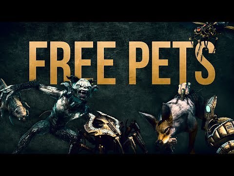 ESO Pet Guide - Get 7 FREE PETS in the Elder Scrolls Online