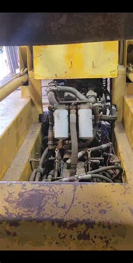 it lives | Tom Porter