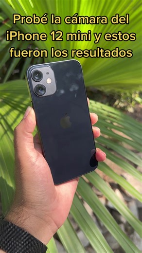 Cámara del iPhone 12 Mini: Reseña y Consejos de Fotografía