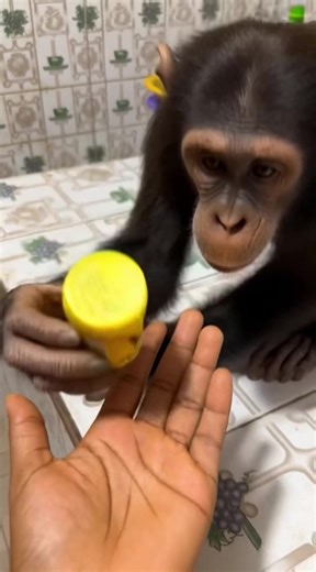 Effective Catarrh Relief Method Passed Down