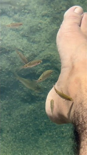Fish Spa in Nature 😍🐟 Most Relaxing Water Scene #trending