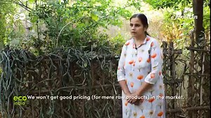 The community is also working to recharge groundwater and promote sustainable eco-businesses in Dharmapuri district. {Every week, Eco India brings you stories of innovations from across India and Europe, and the people who make them possible. You can watch the full episodes on https://scroll.in/topic/56120/eco-india} | Scroll