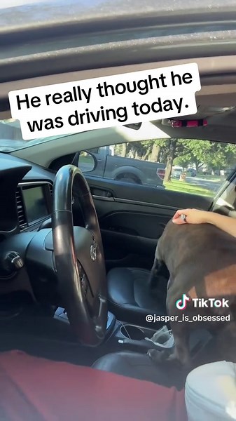 @jasperisobsessed on TikTok