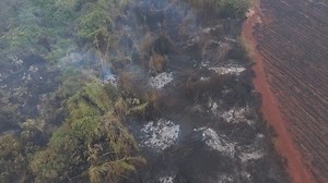 1.1K views · 19 reactions | The Brazilian government is deploying military aircraft as part of a "war" against wildfires ravaging Sao Paulo state, officials say: https://u.afp.com/5LZU VIDEO: Wildfires are spreading across Brazil's most populous state, prompting highest-level alerts in 30 cities and filling the capital's skies with smoke. | AFP News Agency | Facebook