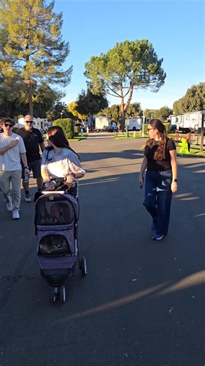 Flying Flags RV Resort on Instagram: "Best buddies!"