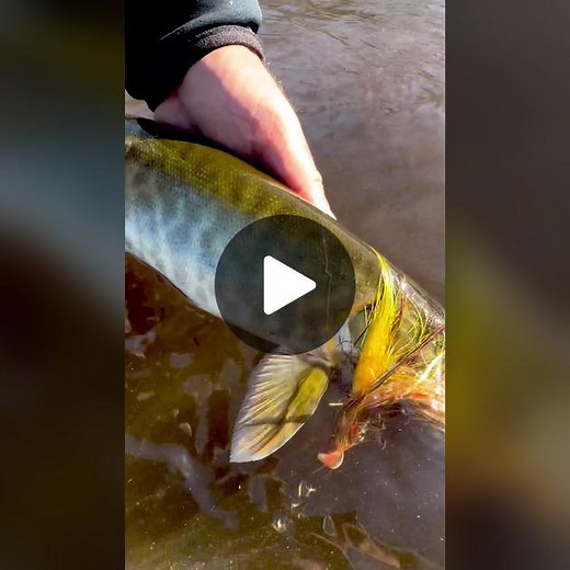 Exploring Fly Fishing with Jeff Currier | Costa Sunglasses
