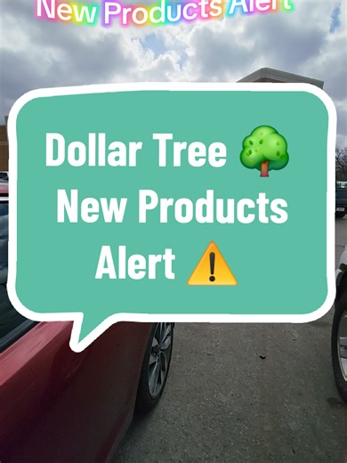 Explore the Grand Opening of a New Dollar Tree Store