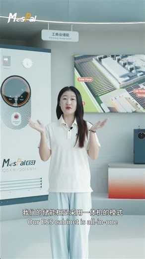 Why Distributors Choose MesPal ESS | Fast Installation for Emerging Energy Markets