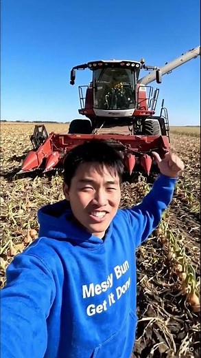Onion Farming Complete Guide | From Planting to Harvest | High Yield Tips #vegetablegrowing