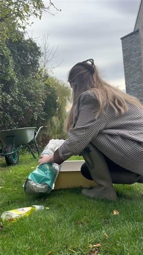 Morning routine as a bunny mum 🐰 #bunny #animallovers #rabbit #morningroutine #rabbitsofyoutube