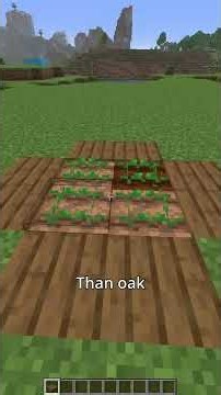 How To Make A Rabbit Trap ‪@ZekCrafting‬