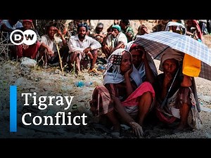 UN 'alarmed' over plight of Eritreans caught up in Ethiopia's Tigray conflict | DW News