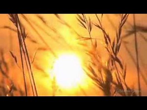 OMAR AKRAM - Free As A Bird