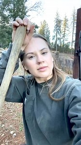 Bare root tree 🤩 #growyourownfood #foodforest #garden | DIY HomeGarden