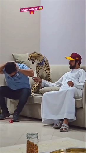 pet Leopard Gives a Powerful Slap! 😁😍#ai#aivideo #shorts