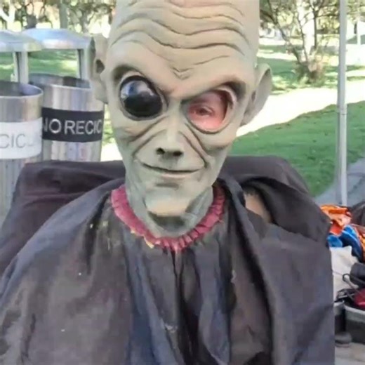 grey alien prosthetic makeup #makeup #prostheticmakeup #creativecontentcreator