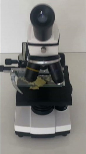 Cips under the microscope 🍟🔬 #science #microscope #lays