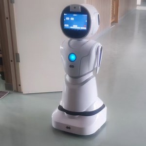 [Hot Item] Customized Airport Passenger Guidance Flight Updates Baggage Assistance Humanoid Service Robot