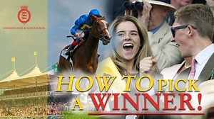 16K views · 78 reactions | Goodwood's glorious guide to picking a winner. What’s your top tip? Let us know in the comments below… | Goodwood Racecourse | Facebook
