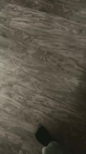 Star Wars Fan on TikTok