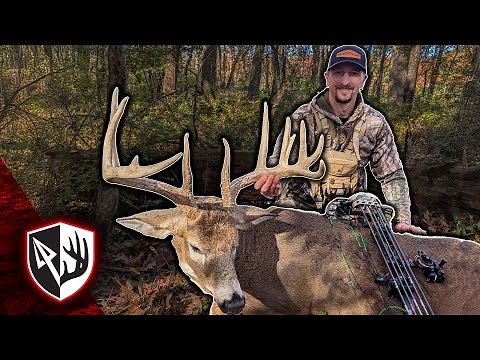 Dropped a BIG BUCK In His Tracks! Late October Bowhunting Success!