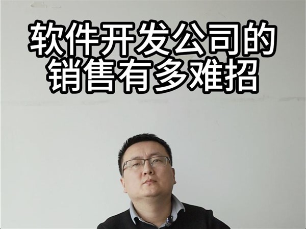 软件开发公司的销售有多难招？_哔哩哔哩_bilibili