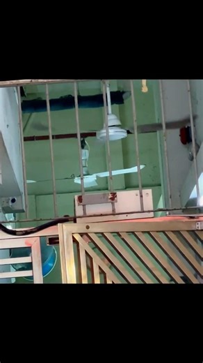 ~2010's(?) SMC K48 and Jinling FC-20 industrial/commercial ceiling fans, KDK M40CH wall fans