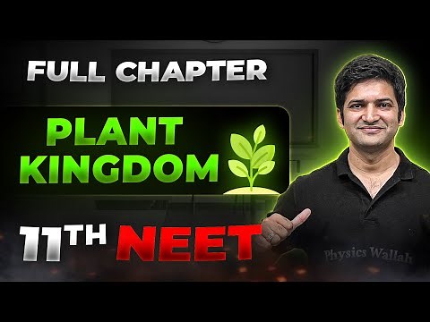 Plant kingdom FULL CHAPTER | Class 11th Botany | Arjuna NEET