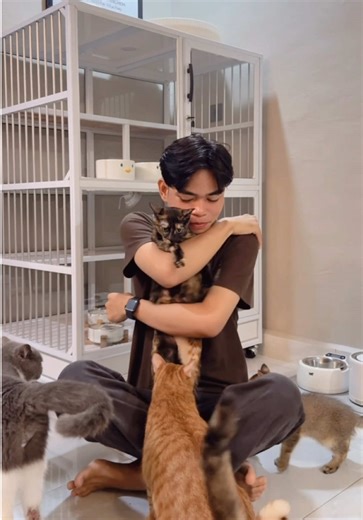 Selamat Jalan Bocil: Kenangan Kucing Pertama