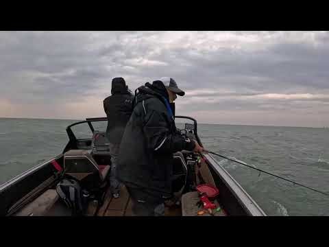 Streaming Live from my #GoPro