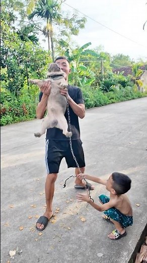 Little Girl Cries Helplessly as Her Beloved Dog Faces a Cruel Fate#dog #lovedog #pet