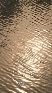 Get a chance to win a free 1 night loft accommodation at The Cabin Resorts for 4 persons inclusive of a sunset picnic experience, breakfast meals, ATV, bonfire and a special dinner spread. Guidelines (Instagram): 1. Share this post to your story. 2. Tag 3 friends in the comment section below and share your ideal vacation experience. 3. Like our post and follow our official ig page: @thecabinresortsph 4. Screenshot your story for verification. 5. Like our Facebook page (The Cabin Resorts) A rando