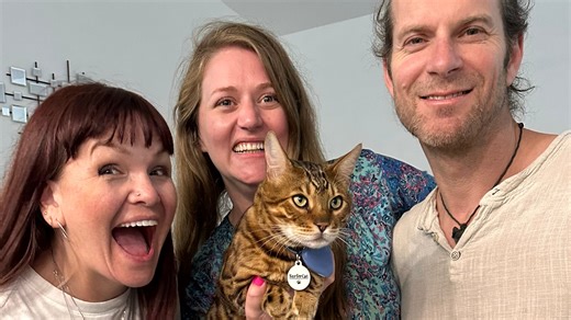 Purr-fectly adorable: Space Cats Florida launches from Space Coast Convention Center
