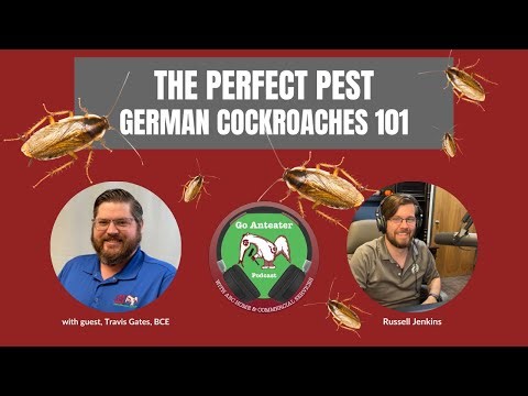 The Perfect Pest : German Cockroach 101