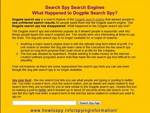 DOGPILE SEARCH SPY | What-Happened-to-Dogpile-Search-Spy