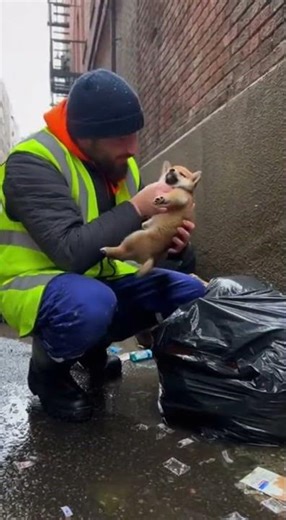 🥹 Garbage Dump Puppy—Saved from Frost by Kind Sanitation Man