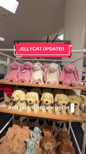 Exciting Update on Jellycats Collection!
