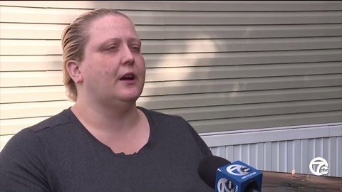 Police investigate window-smashing spree across metro Detroit