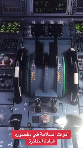 Exploring Aircraft Cockpit Controls and Instruments