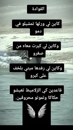 Vidéos de Benhamida Mohamed (@mohamedbenhamida24) avec Inas Inas - Mohammed Rouicha