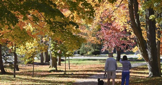 The Weather Network’s 2025 Fall Forecast is in: What to expect in Ontario for pumpkin spice season