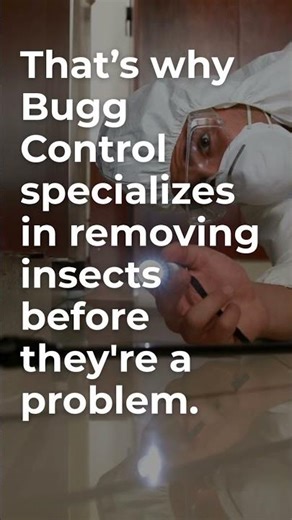 There are thousands of insects in your home | Bugg Control | #shorts #buffalony