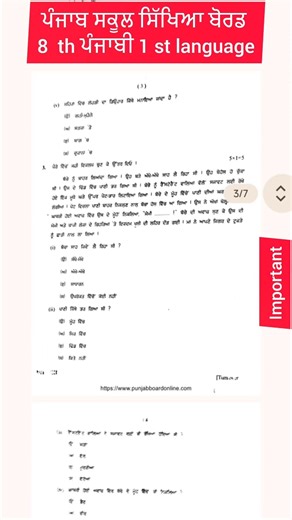 PSEB Class 8 th punjabi 1 st language final exam paper