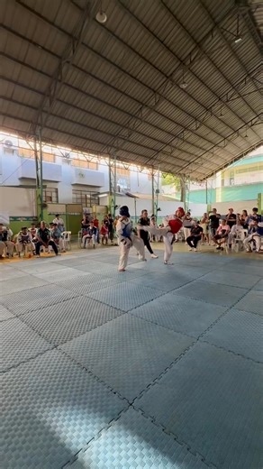 🥋 Taekwondo Cat 🐈 | Congressman Kiko Barzaga