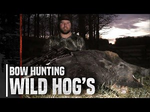 BOW HUNTING WILD HOGS | RAZORBACK | EUROPEAN WILD BOARS
