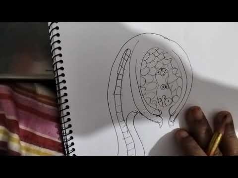 Structure of ovule and Fertilization। জীববিজ্ঞানের ছবি আঁকার নিনজা টেকনিক। #biology #SSC #HSC
